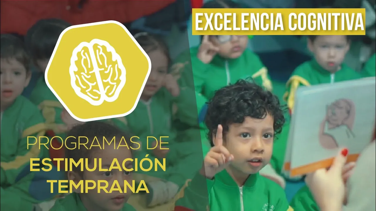 Excelencia Cognitiva Irlandesas Madrid